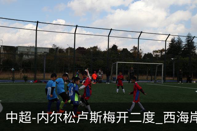 中超-内尔松卢斯梅开二度 西海岸3-1浙江12轮不败