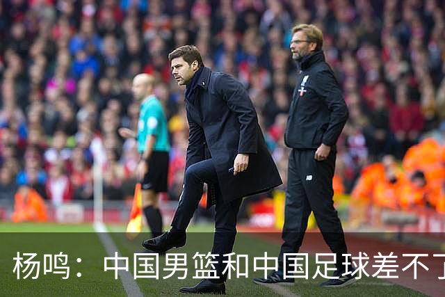 杨鸣：中国男篮和中国足球差不了太多，没有气场，失去了绝对优势
